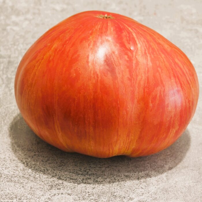 Pomidor Jazz