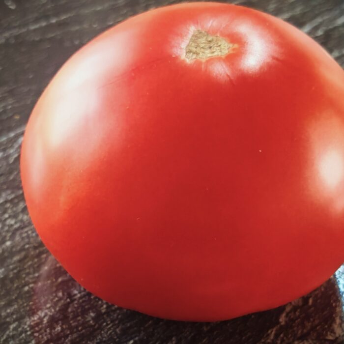 Pomidor Israel