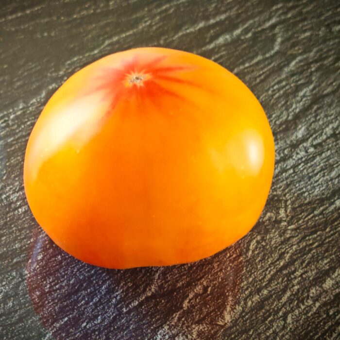 Pomidor Grapefruit