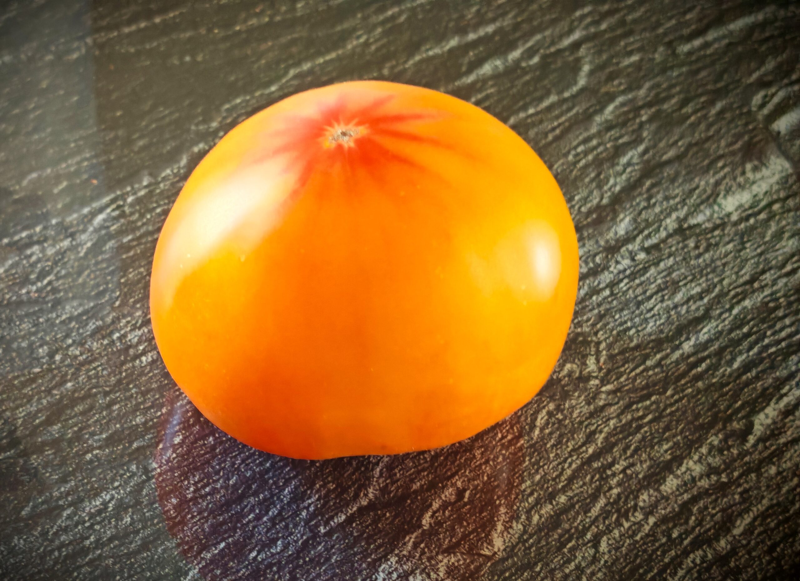 Pomidor Grapefruit