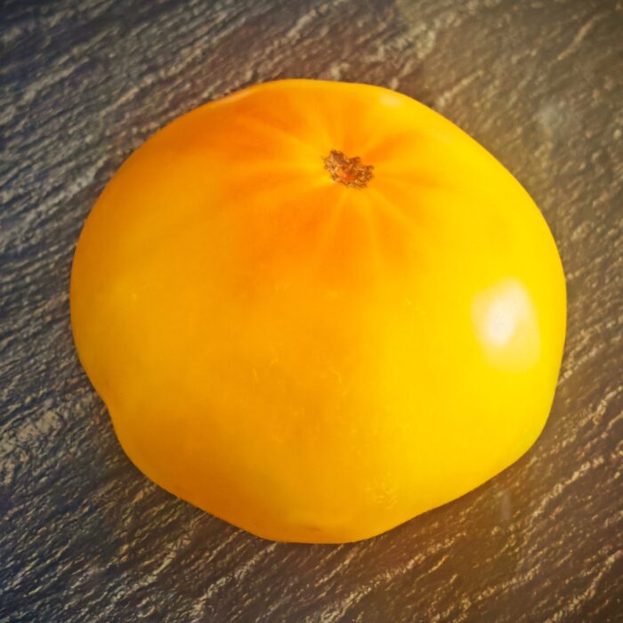 Pomidor Burracker’s Favorite