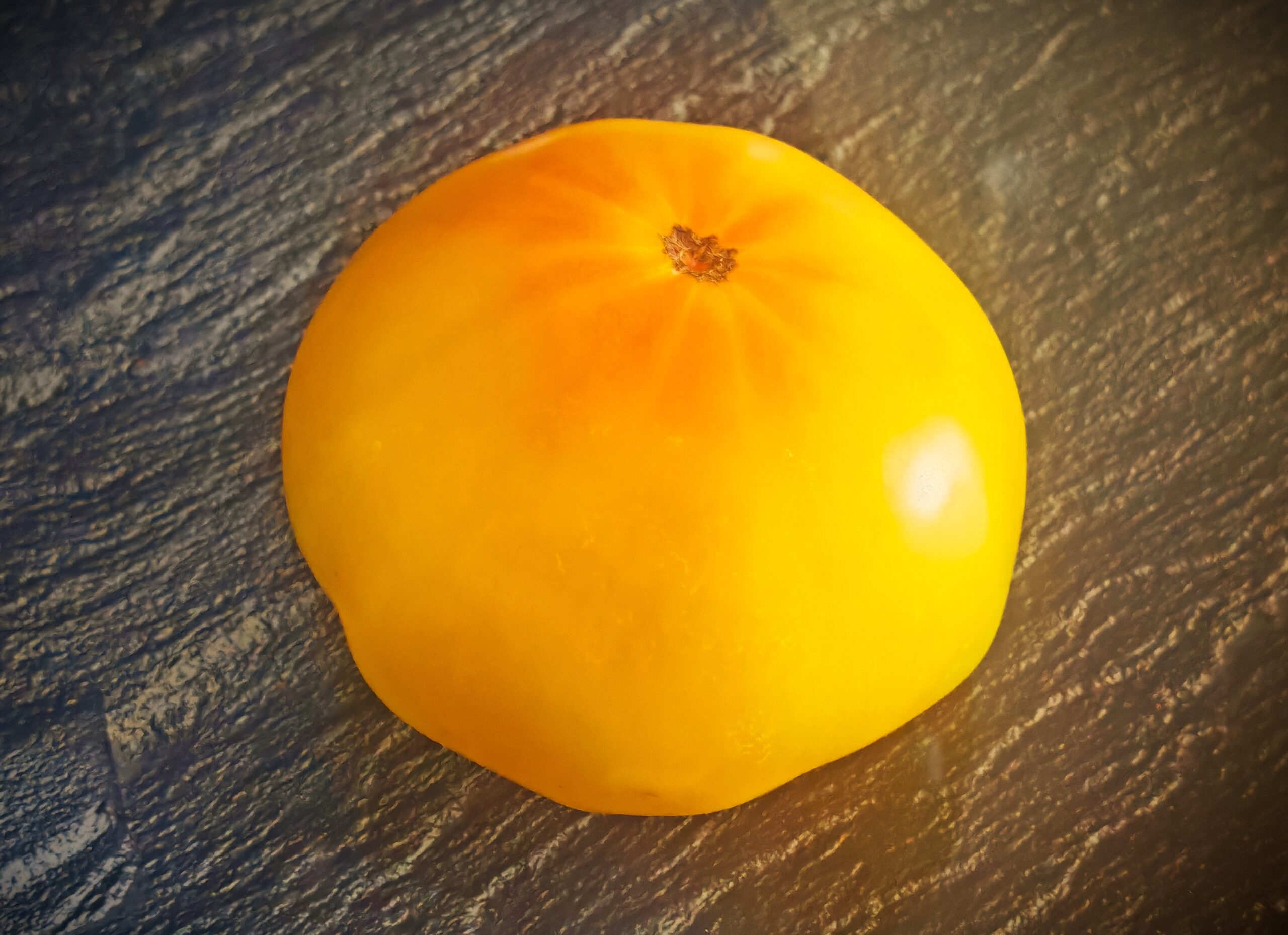 Pomidor Burracker’s Favorite