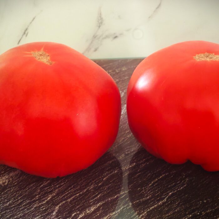 Pomidor Delicious
