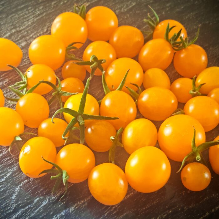 Pomidor Honey Yellow Cherry