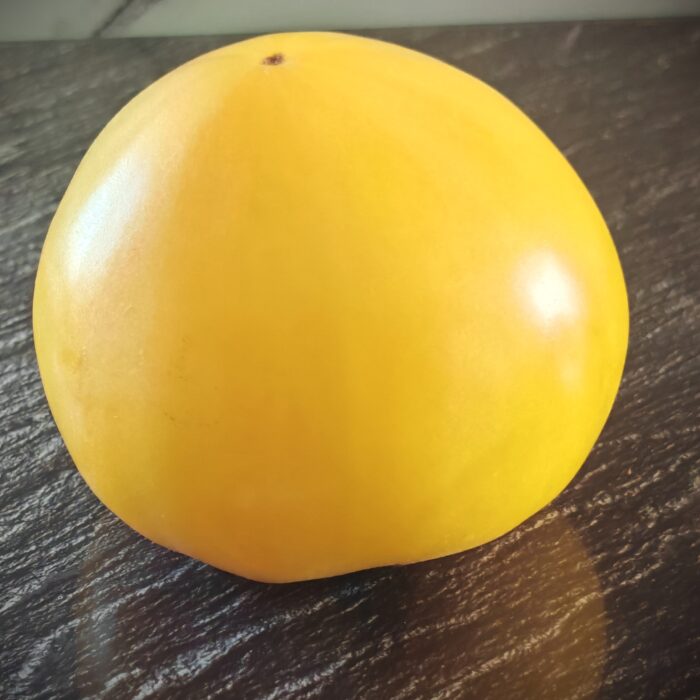 Pomidor White Tomesol