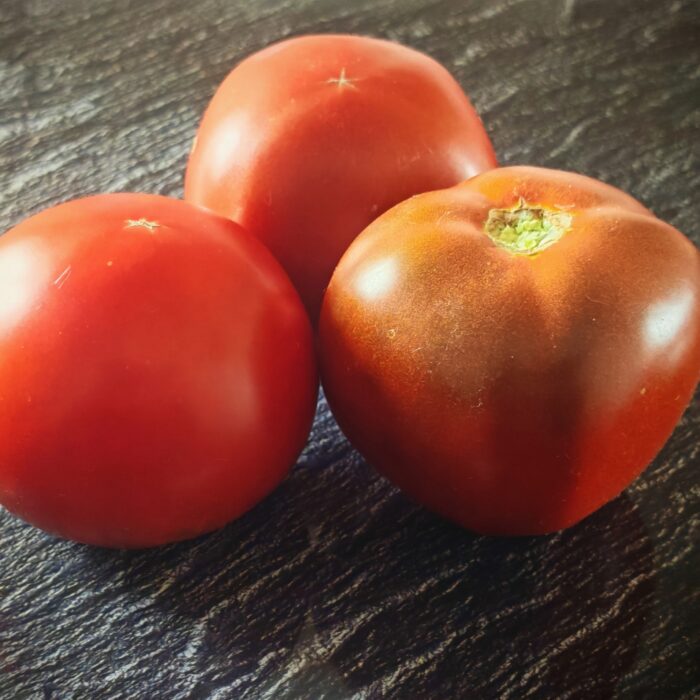 Pomidor Big Black