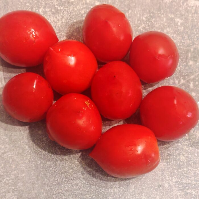 01052 Geranium Kiss- Dwarf