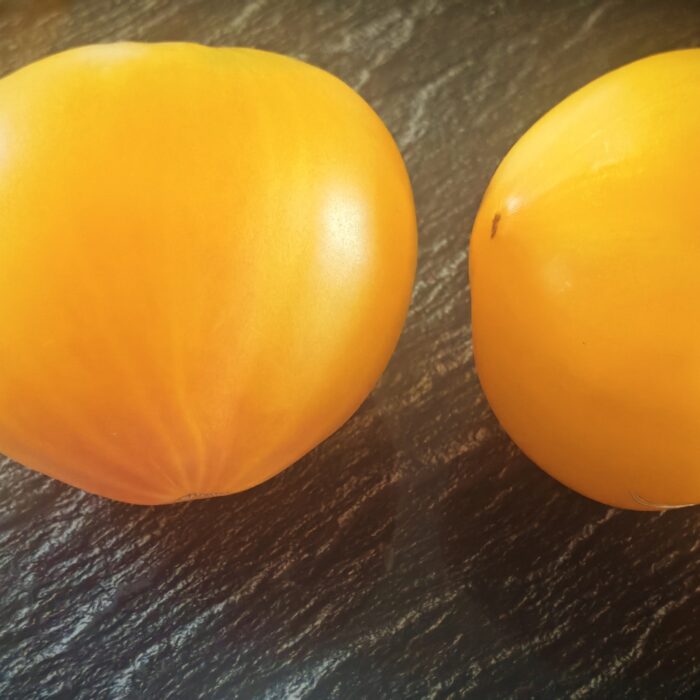 Pomidor Lemon Ice-Dwarf