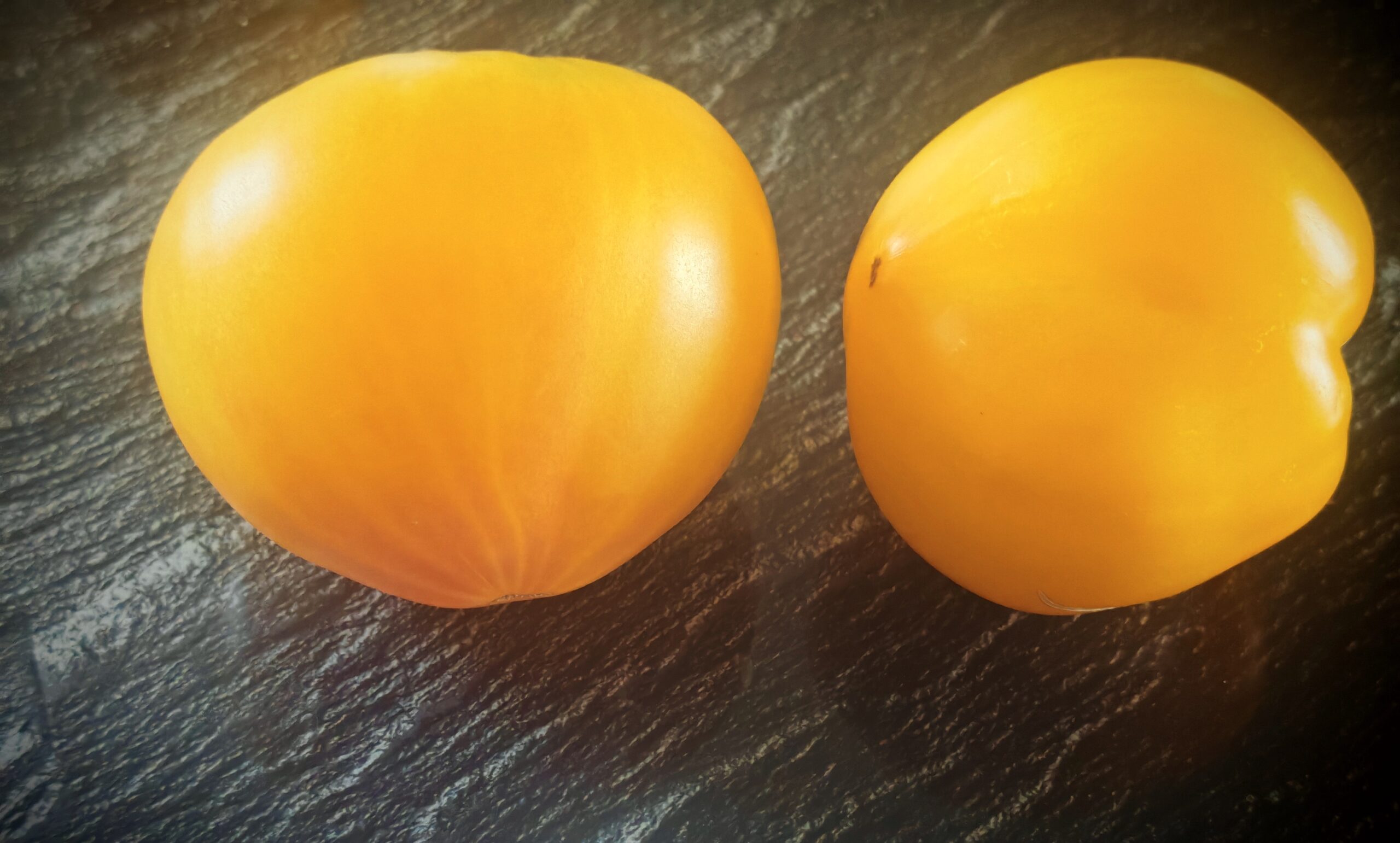 Pomidor Lemon Ice-Dwarf