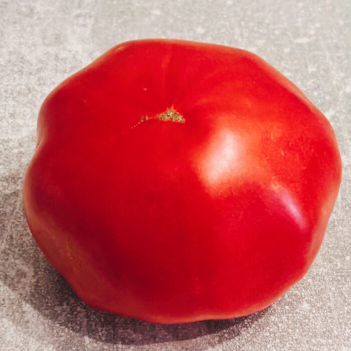 00018 Syberyjski Gigant