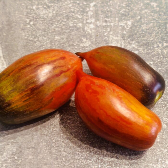 01033 Shadow Boxing- Dwarf