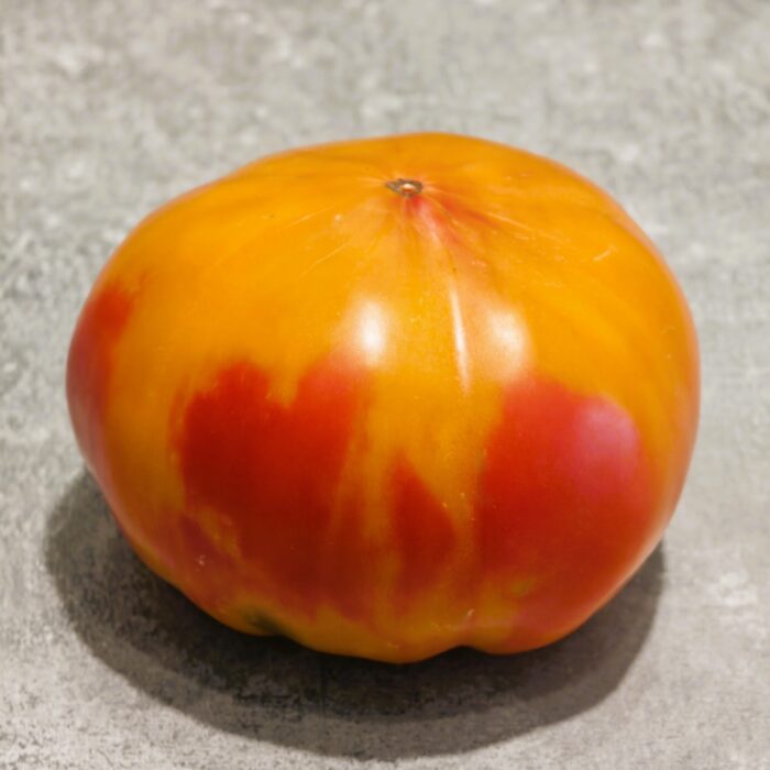 00185 Striped German