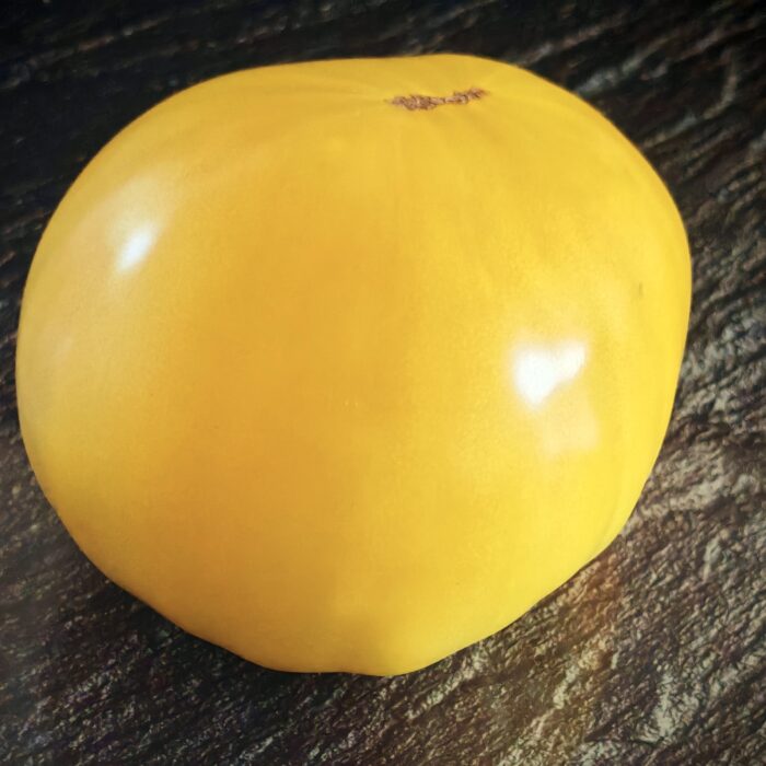 Pomidor Captain Lucky White