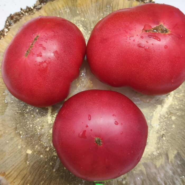 00125 Mortgage Lifer Pink