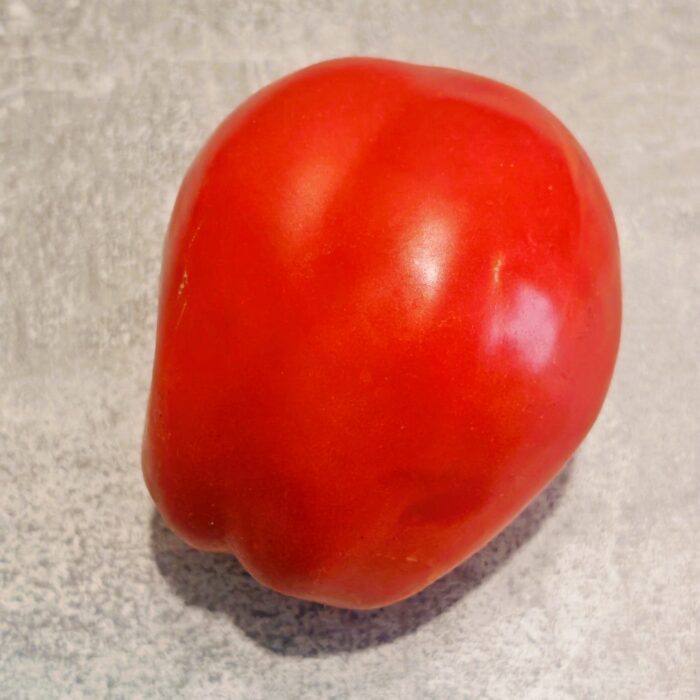 Pomidor Red Pear (Włoski ORG)