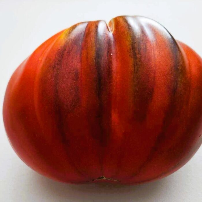 00518 Trufa Azul / Голубой трюфель