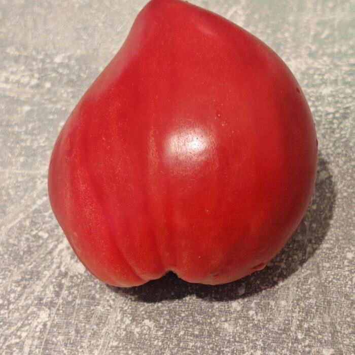 Pomidor Kyzył Tau (Kolekcja Alifirov)