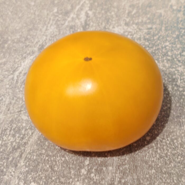 00548 Canadian Sunset