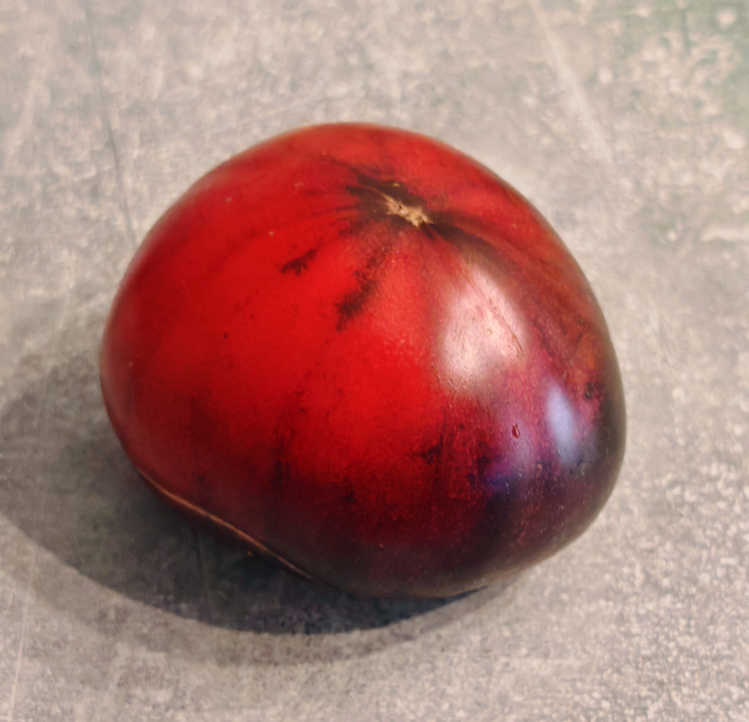 Pomidor Black Russian Rose - obrazek 5