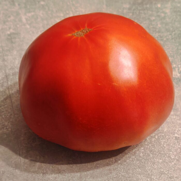 00491 Krasawczyk / Przystojny (Kolekcja Vitaly Gennadievich Alifirov)