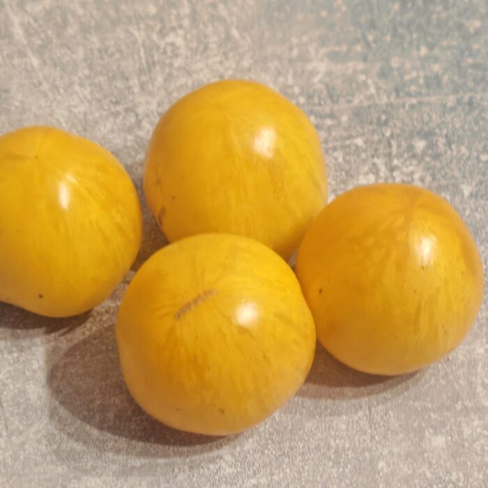 00499 Huan-u Topaz /Miodowy Topaz