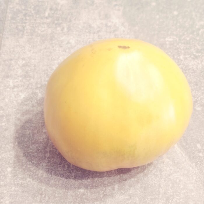 Pomidor Reinhard’s White Heart