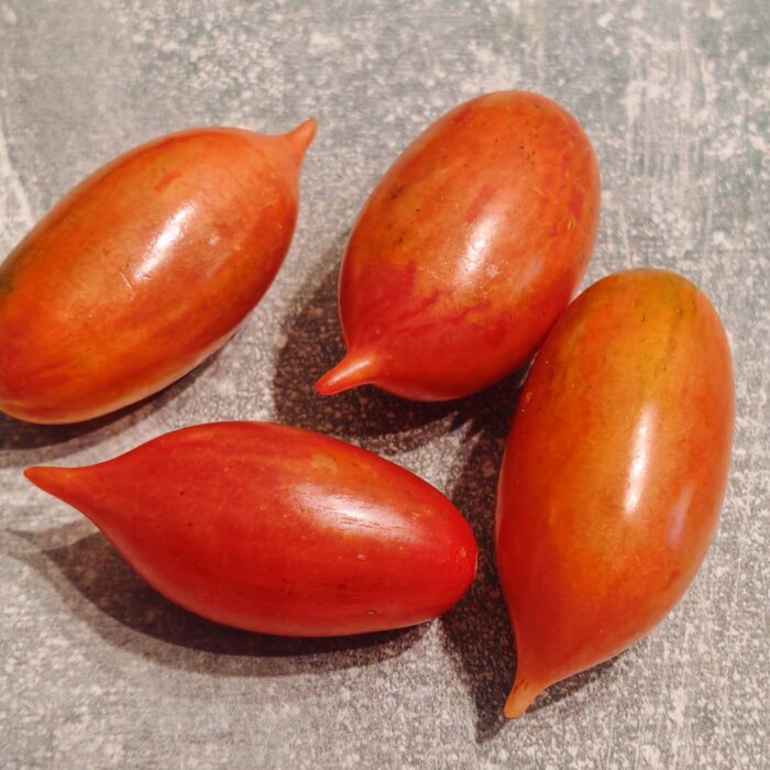 00512 Chocolate Striped Icicle