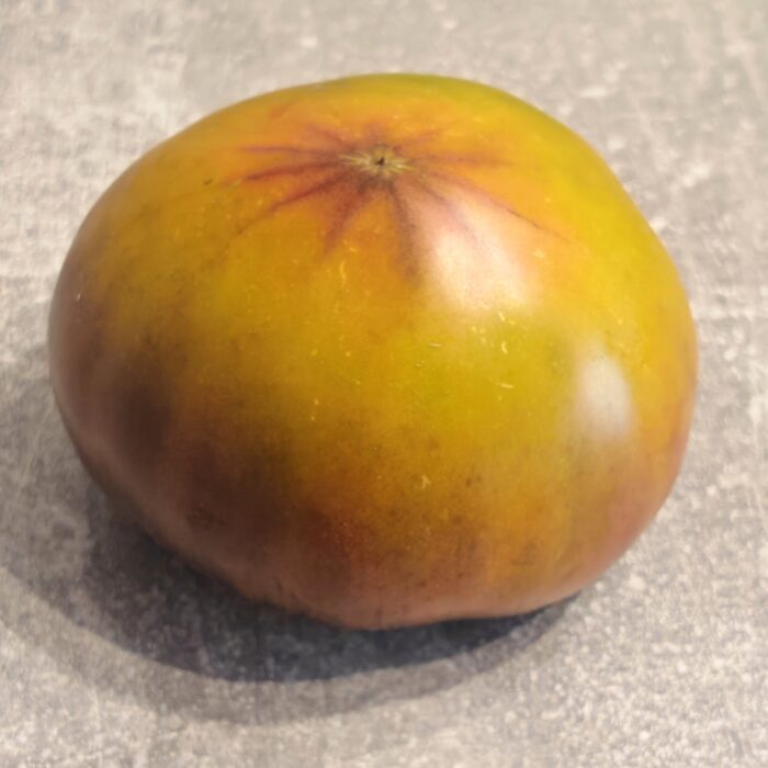 00462 Bliss/ Rozkosz/ Блаженство (Kolekcja Sofia Saakova)