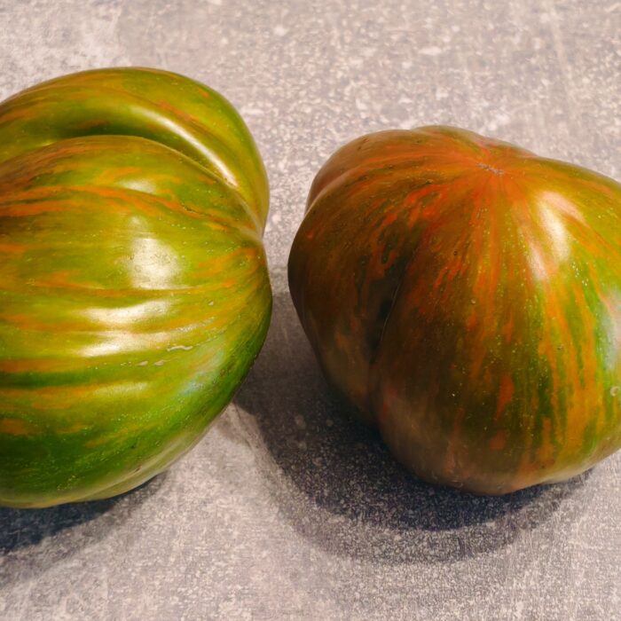 00546 Black Zebra Heart