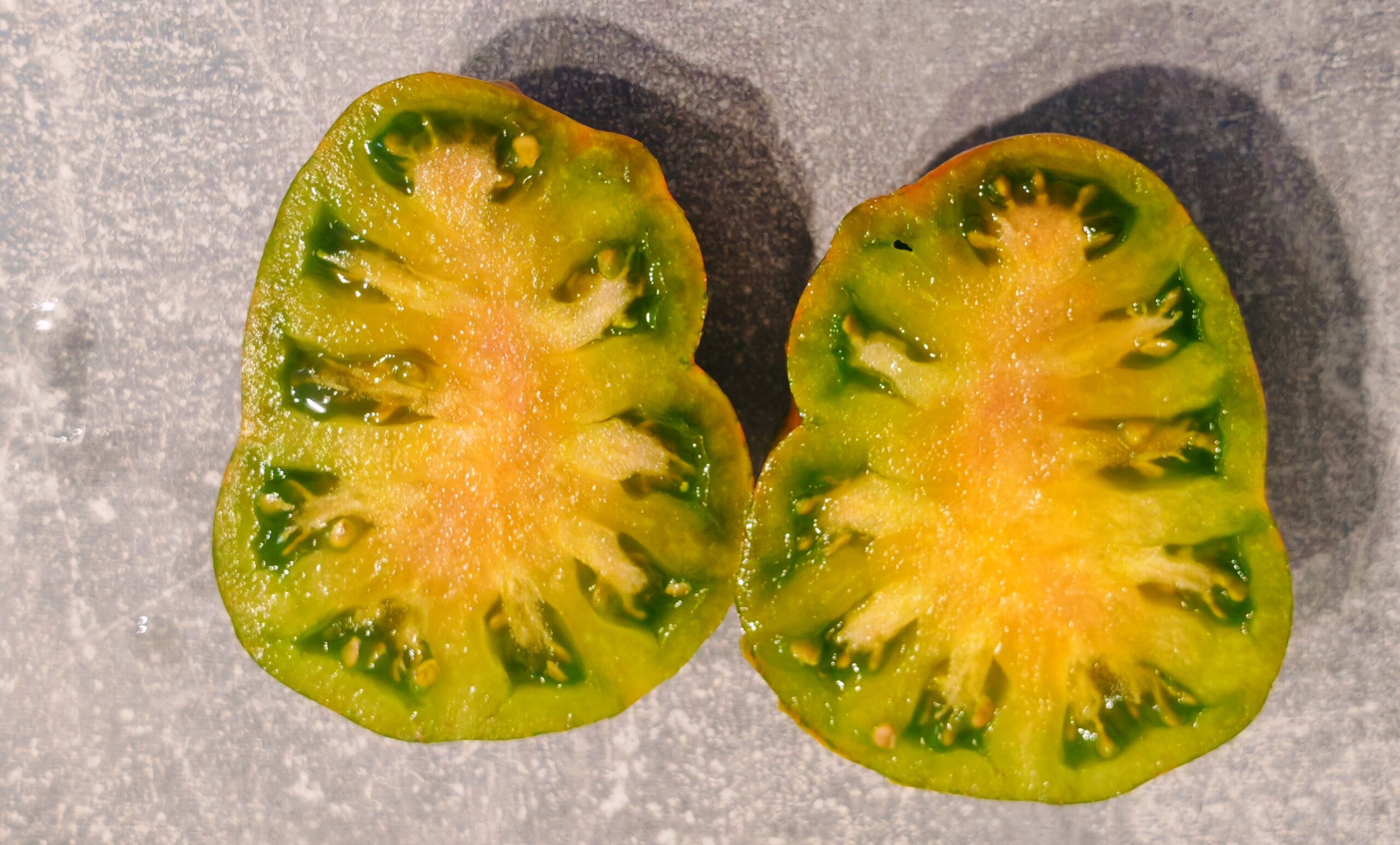 00546 Black Zebra Heart - obrazek 2