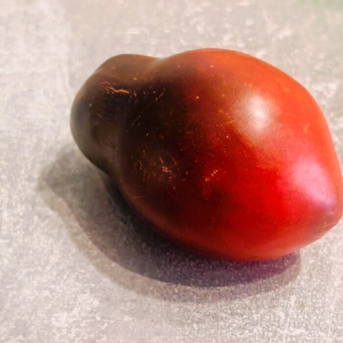 00513 Sgt Sergeant Pepper's Bronze Fingers