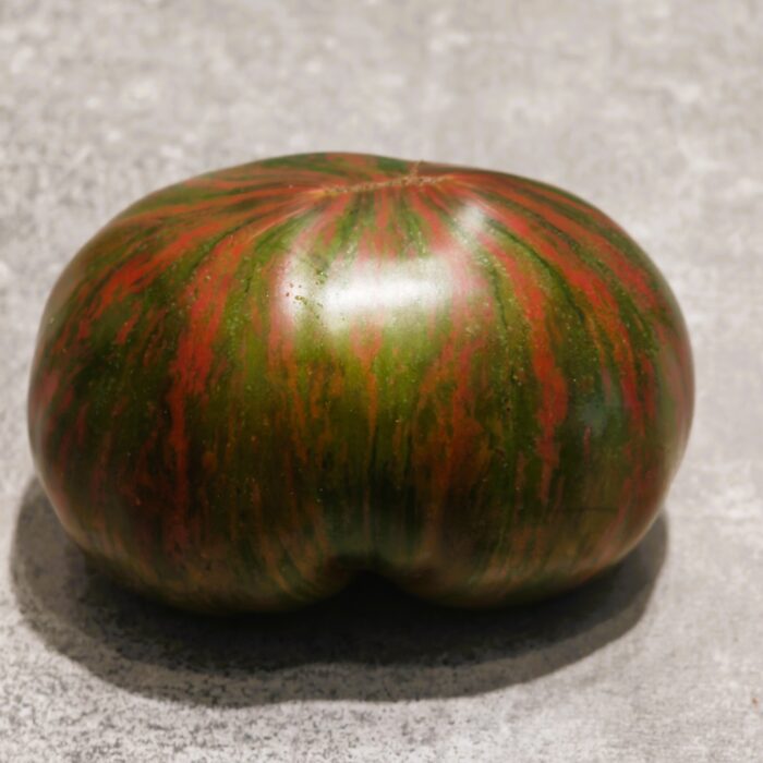 00531 Dark Copia Heart