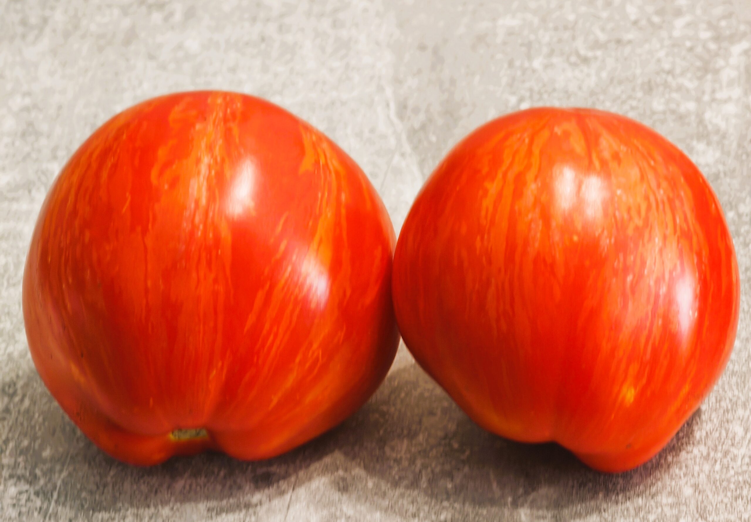 00529 Dirty Curty Striped