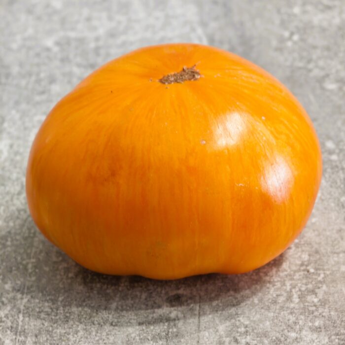 00502 Janet's Jacinthe Jewel