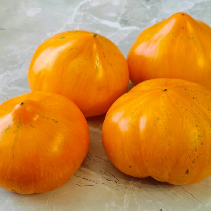 00530 Rainbow Jazz Heart