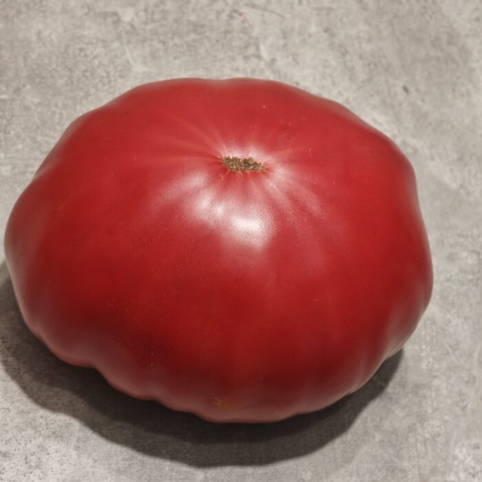 00496 Da Costa's, Portuguese