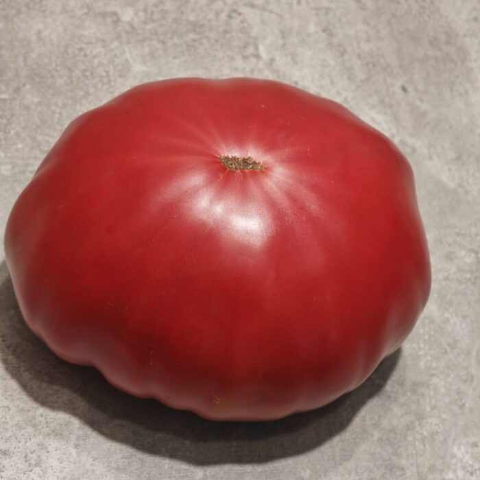 Pomidor Da Costa's, Portuguese