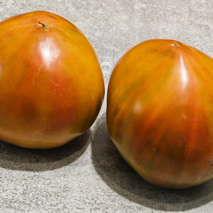 00532 Pyszna Odmiana Myśliwska /Вкусный Охотничий Штамм