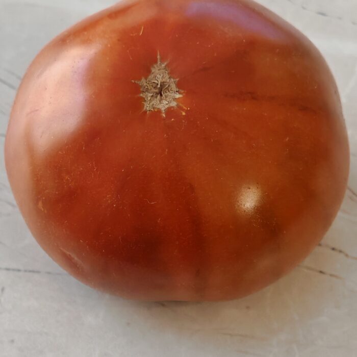 00498 Sandburg/ Zamek z Piasku