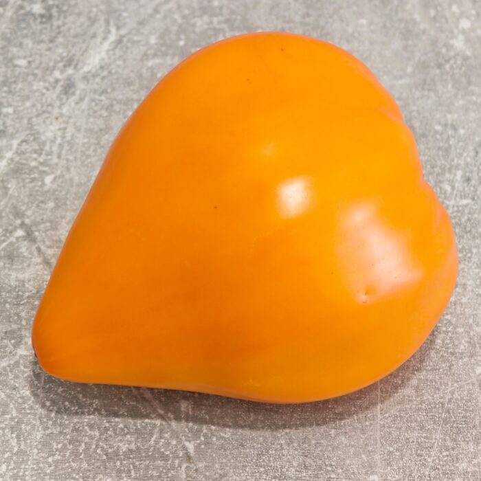 00535 Cud Ziemi Pomarańczowy /Чудо Земли Оранжевое