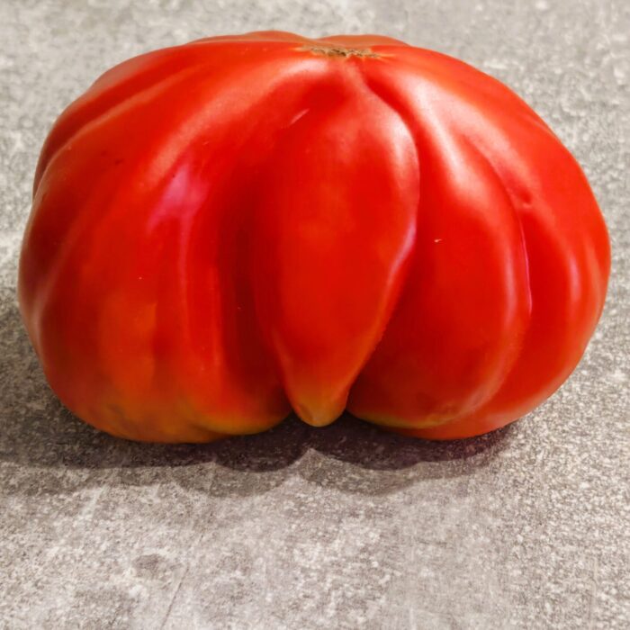 Pomidor Tlacolula Ribbed