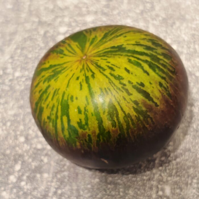 00413 Xanadu Green Goddess