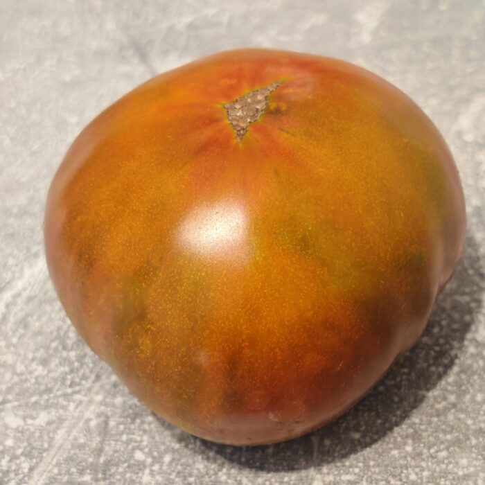 00447 Antyczny Brąz/ Античная Бронза