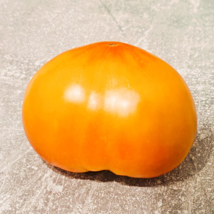 00412 Orange Mango (Kolekcja Sofia Saakova)