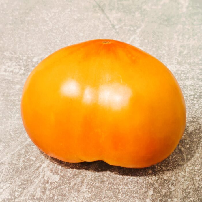 Pomidor Orange Mango (Kolekcja Sofia Saakova)