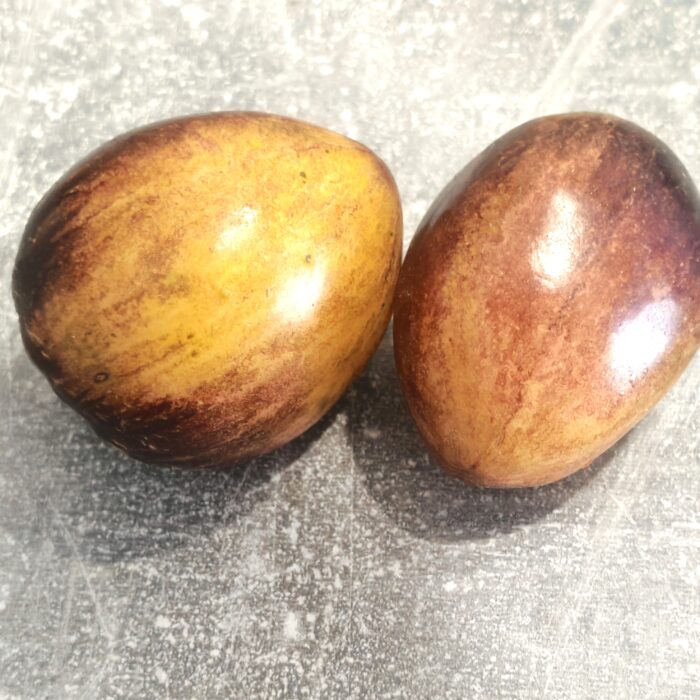 00464 Very Sweet Blues (Kolekcja Sofia Saakova)