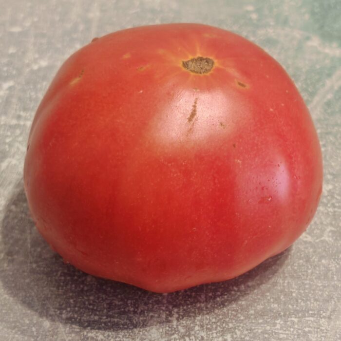 00020 Sibirskie Shangi Red- Сибирские шаньги