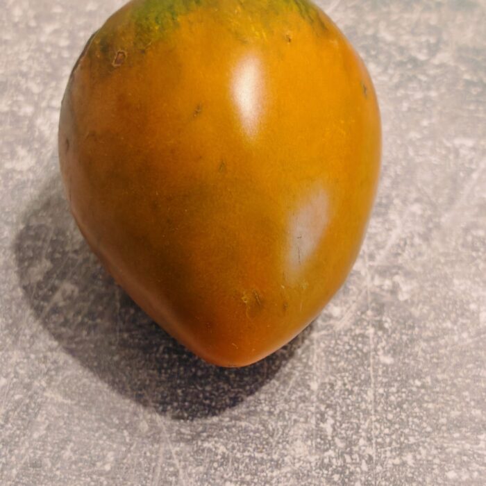 Pomidor Severe Melon (Kolekcja Sofia Saakova)