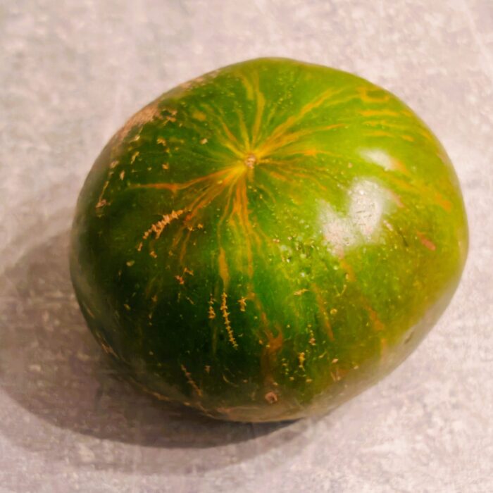 Pomidor Berkeley Tie-Dye Green