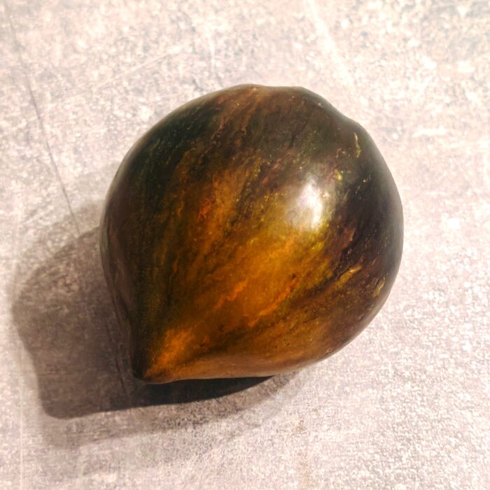 00428 Ocher Veil/ Охровая Вуаль (Kolekcja Sofia Saakova)